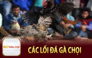 Các Lối Đá Gà Chọi