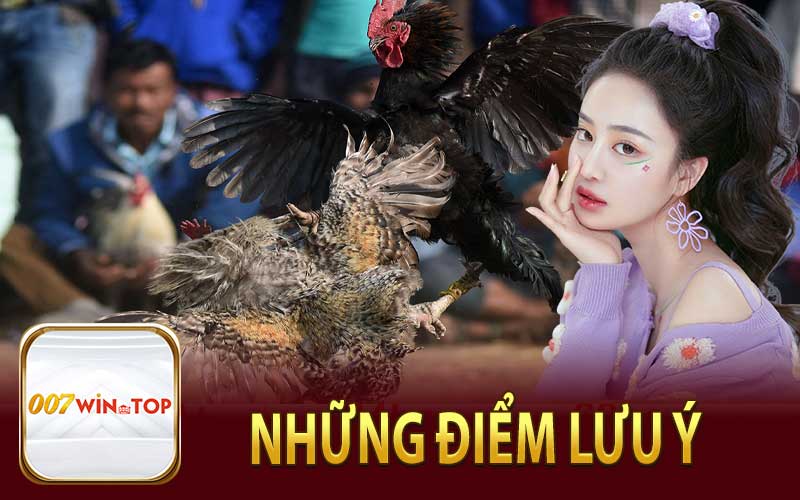 Những Điểm Cần Lưu Ý